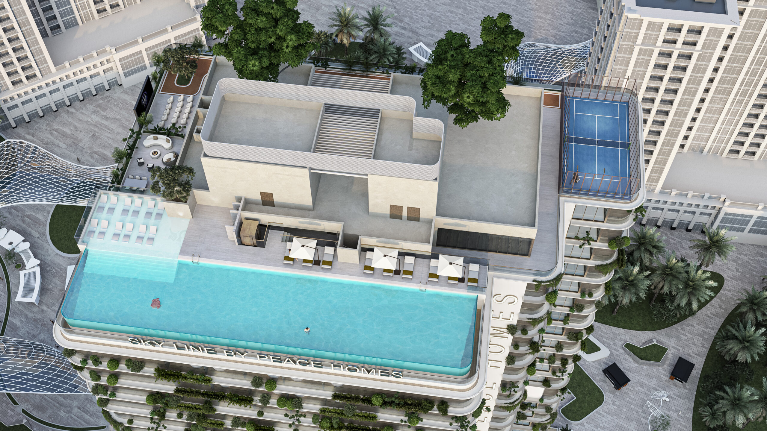 DLRC_View11